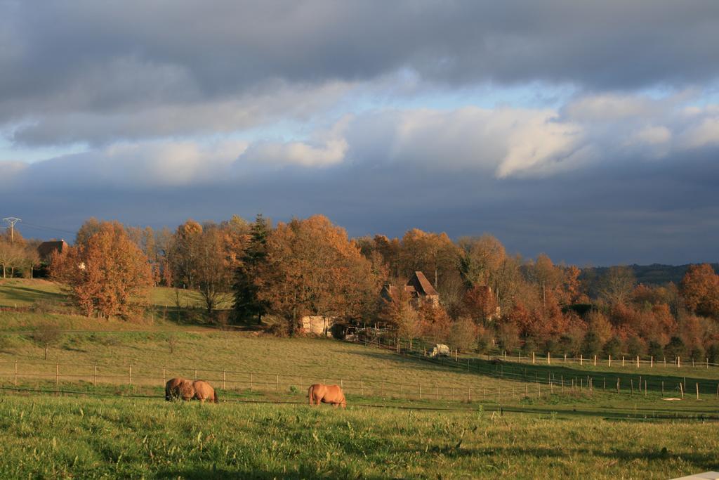 La Rolandie Haute Limeuil Zewnętrze zdjęcie